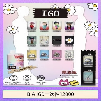 B.A IGD12000口 電子煙