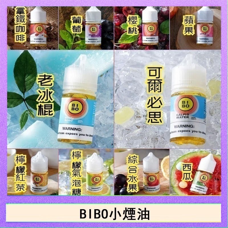 BIBO BIBO經典系列主機小煙油30ML