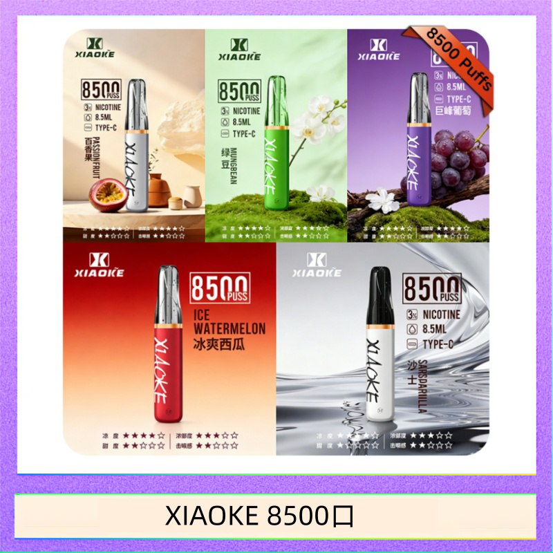 XIAOKE 8500口 梟客XIAOKE一次性電子菸拋棄式8500口